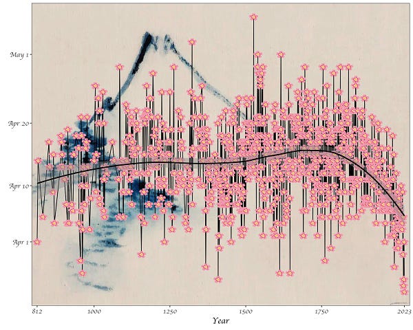 A graph of cherry blossom date with year on x axis (812 AD - 2023), and day of peak bloom on Y axis. The data points are cherry blossom emojis and there is a Hokusai painting of a mountain in the background, so the plot kind of looks like a Japanese painting of cherry blossoms.
