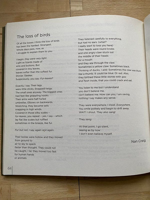The loss of birds by Nan Craig (extract)

Of all the losses I think the loss of birds has been the hardest. Strangest.
Whole days pass, now, as I struggle to explain them to you.
I begin: they were very light.
Light as lizards made of wire and buttons. But covered in tiny leaves,
leaves softer than the softest fur.
Shinier. Sleeker.
Suspiciously, you say: Fur-leaves?
Exactly, I say. Their legs were little sticks. Snapped twigs.
The small ones anyway. The biggest ones had feet like grappling hooks.
Their arms were half-furled umbrellas. Elbows on backwards.
Stretching, they became sails snapping in high winds.
Covered in those silky scales -
fur-leaves, you repeat - yes, I say - which lay flat like scales but ruffled sometimes in the breeze, like fur.
Fur but not, I say, again and again.
Their bones were hollow and they moved from ground to air to sky to speck faster than thought. They could not be caught, I lie: they moved too fast for human hands or animals.