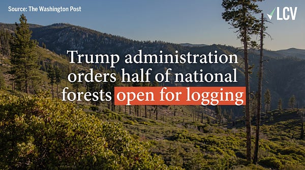 Do States Have a Secret Weapon to Counter Trump's Forest Service and Medicaid Cuts Before the Damage Becomes Permanent?