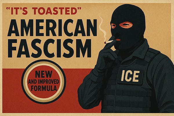 Is it hyperbole to say America is now fascist?