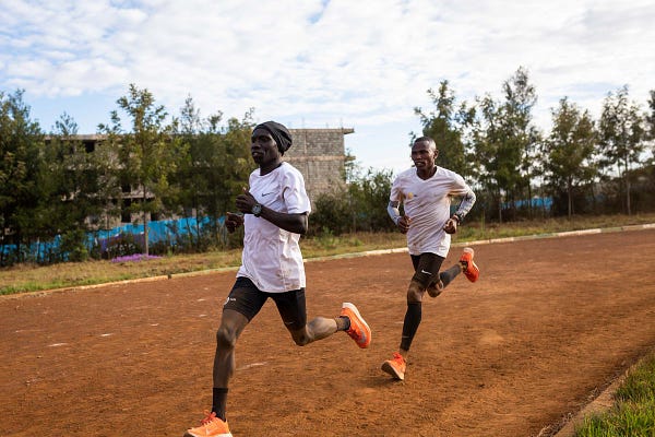 Jogging chelsea 2025 2019