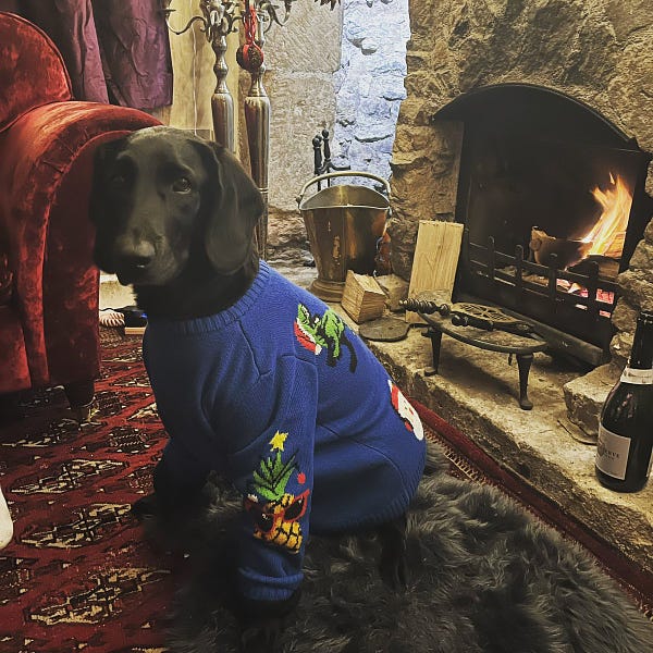 Christmas jumpers with 2025 dogs on them