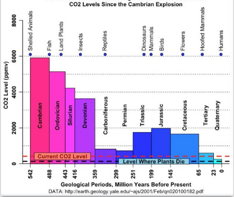 Dr Rima Truth Reports Substack | Rima E Laibow MD | Substack