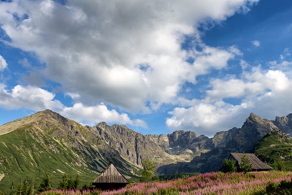 Segments with Maria Giesbrecht | Substack