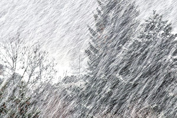 Segments with Maria Giesbrecht | Substack