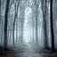 Christian Ethics in the Wild
