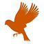 This Week in Birding