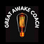 Great Awake Coach: Coach & Consultant for The Awakened.