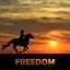 SheThinksLiberty’s Newsletter