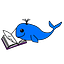 User's avatar
