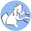 Judith Solberg's avatar