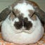 Mỹ Dung's avatar