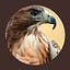 RedHawk's avatar