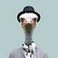 User's avatar