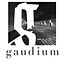 Gaudium Magazine