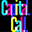 Capital Call