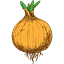 Psychology Onions