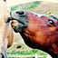 Hoarse Whisperings