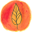 Campo Visual