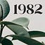 1982