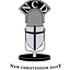 The New Christendom Daily