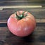Easy Street Gardening