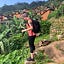 Brooke Aksnes's avatar