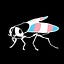 The Transgender Gadfly
