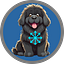 User's avatar