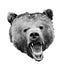 TheShortBear’s Vault