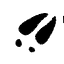 Traces Journal's avatar