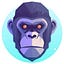 User's avatar