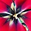 Antonia Levy's avatar