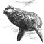 Dmitry Samarov's avatar