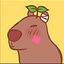 Avatar de User