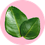 User's avatar