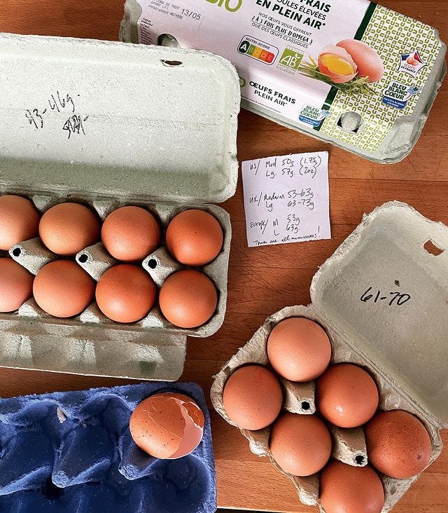 Sizing Up Eggs - David Lebovitz Newsletter