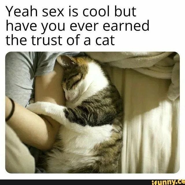 Eranos memes. Best Collection of funny Eranos pictures on iFunny