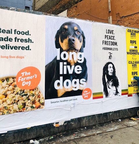 The farmer's dog customer service best sale