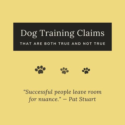 No retractable leashes best sale