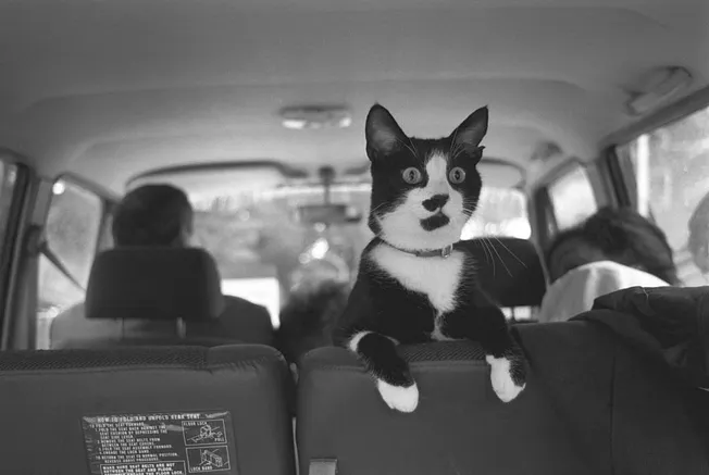 What the Childless Among Us Leave Behind