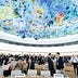 The UN Brief