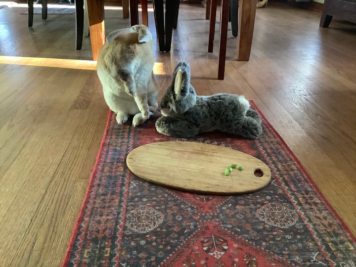 Rabbit stretching