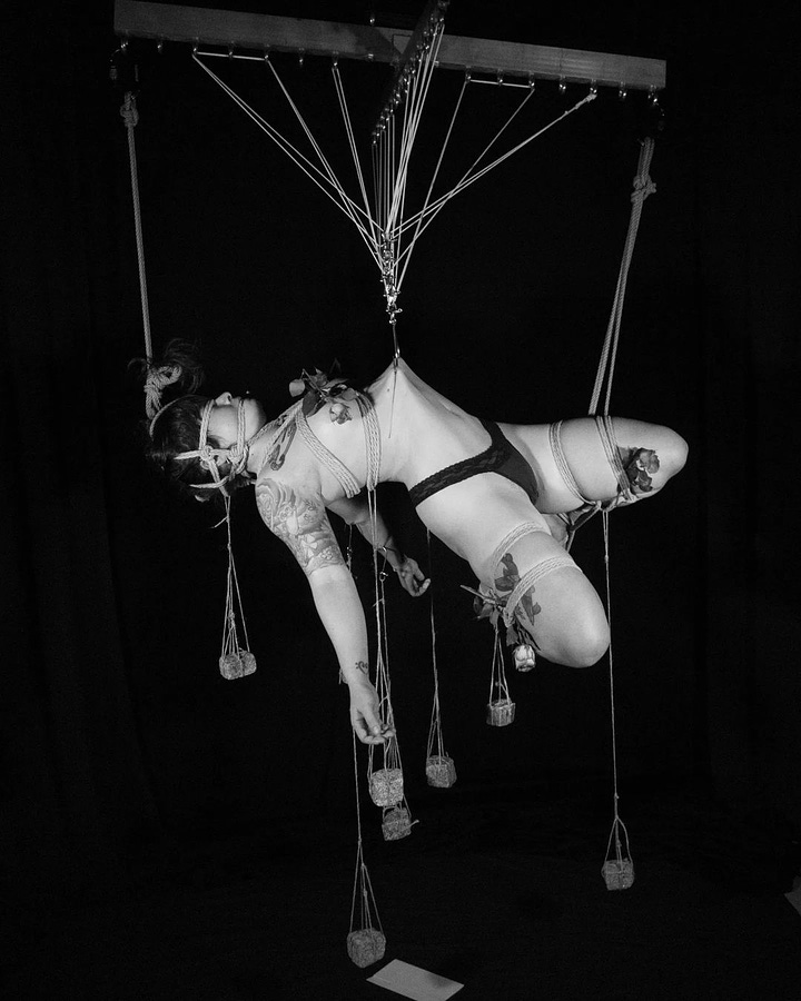 two photos of Charlyne's suspension work