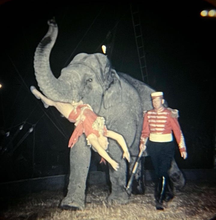 A woman is carried in the mouth of an elephant in the View-Master reel; actress Gloria Grahame repeats the same stunt in the movie The Greatest Show on Earth