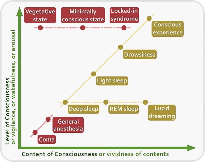Consciousness in the brain