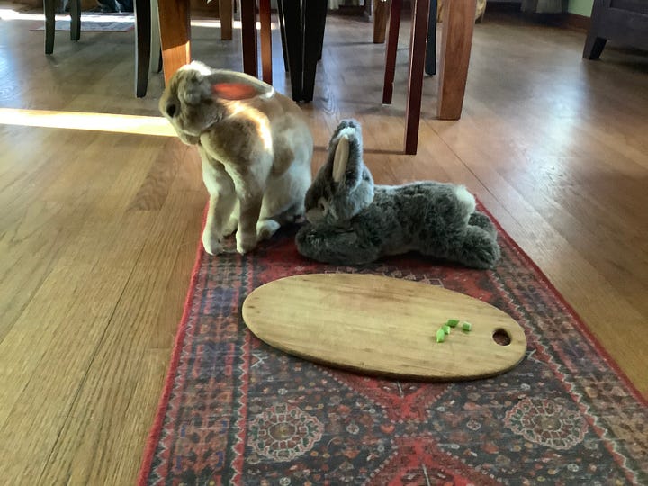 Rabbit stretching