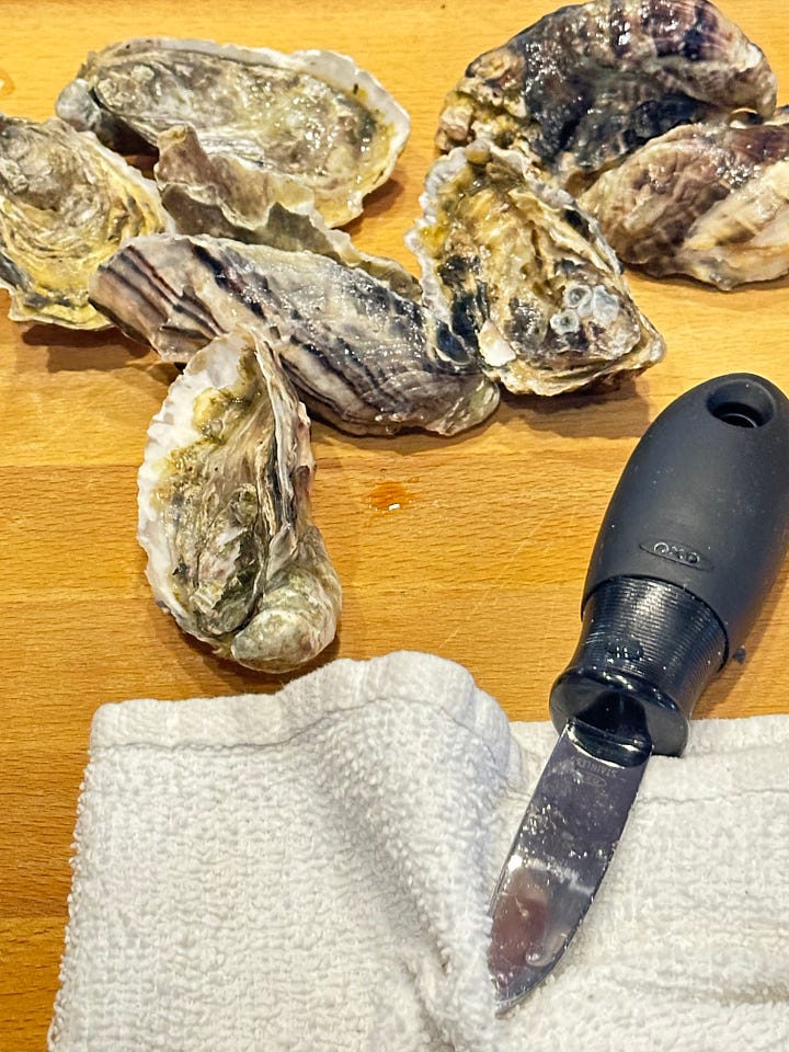 Oyster shells empty, oyster shells full and oyster shucking knife