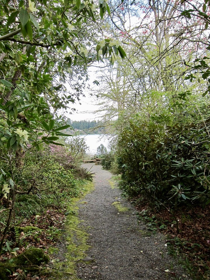 Several pictures near the edge of the lake with paths through rhododendrons and docks visible on the water.