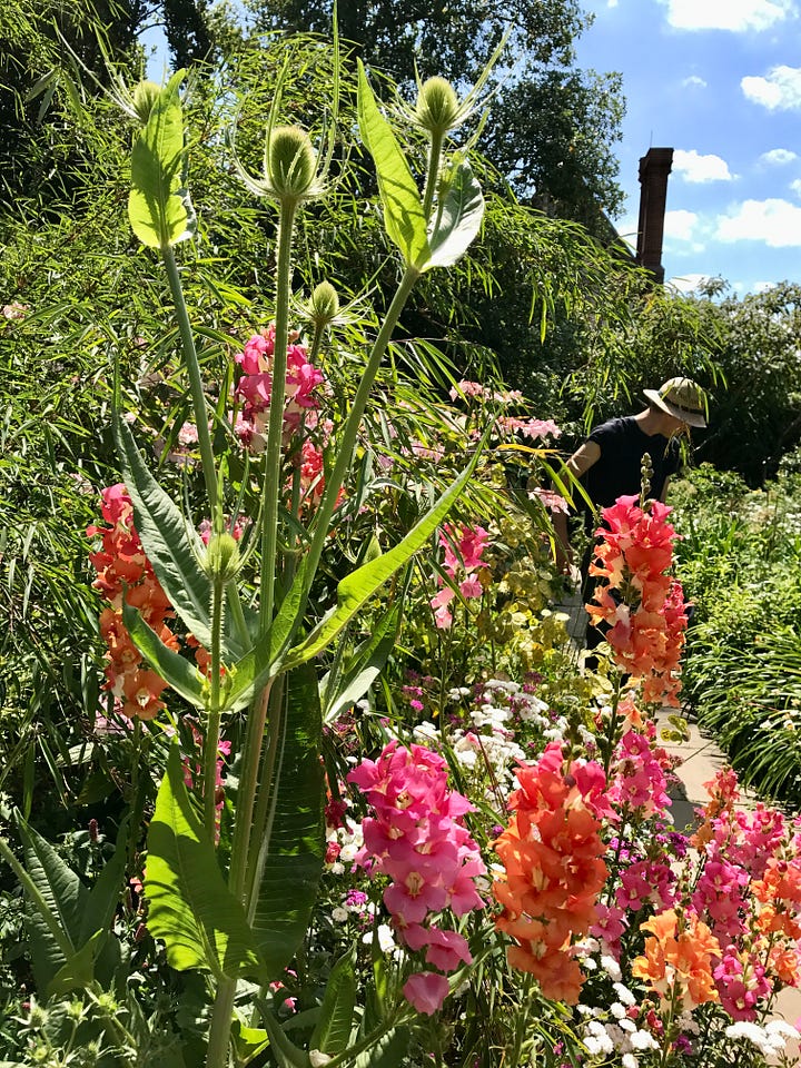 The Barn Garden at Great Dixter. Photos by Julie Witmer, June 2017